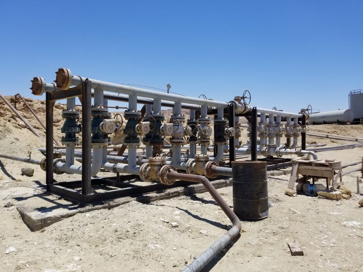 Wellhead manifold and surface facilities